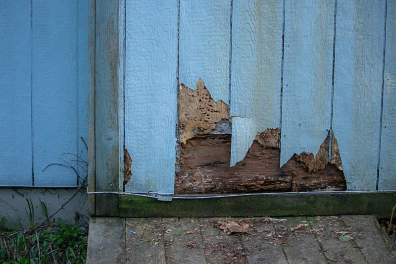 Siding Repair Solutions