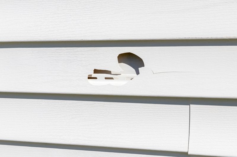 Spring Siding Inspection
