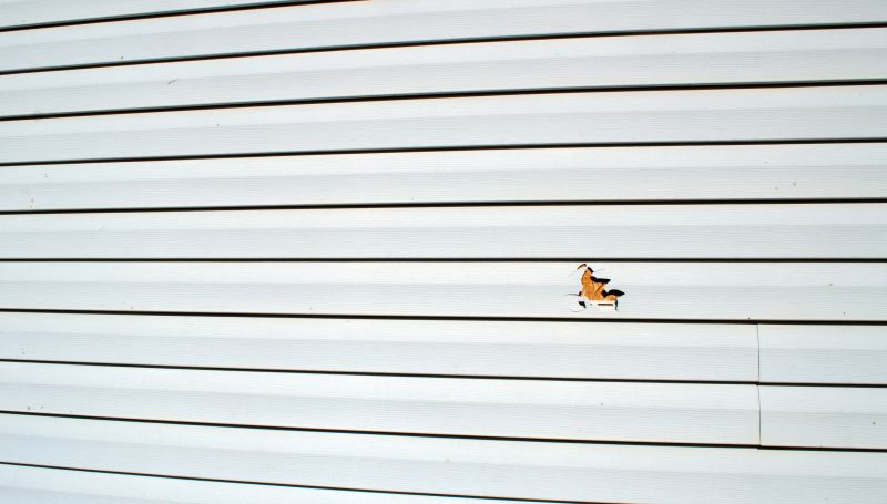 Professional Siding Repair